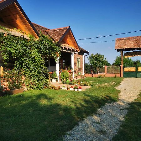 Amanet House Zasavica Exterior foto