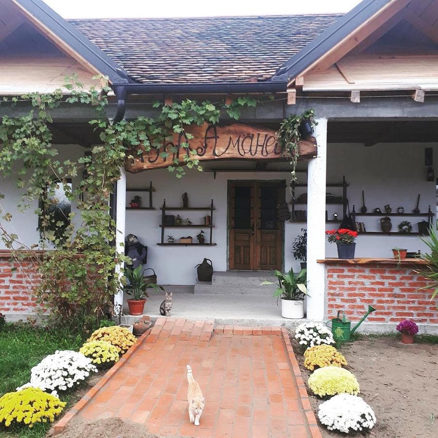 Amanet House Zasavica Exterior foto
