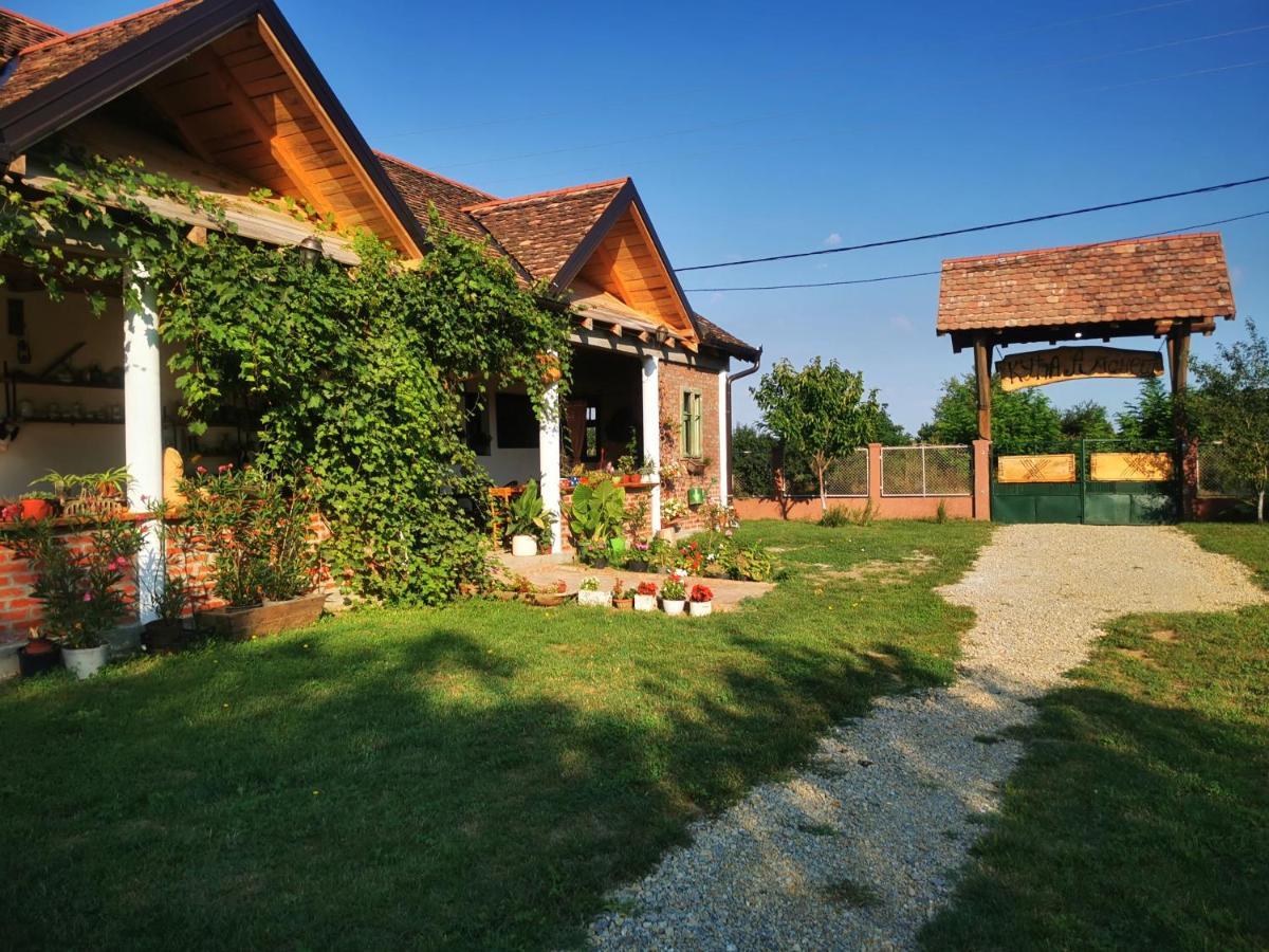 Amanet House Zasavica Exterior foto