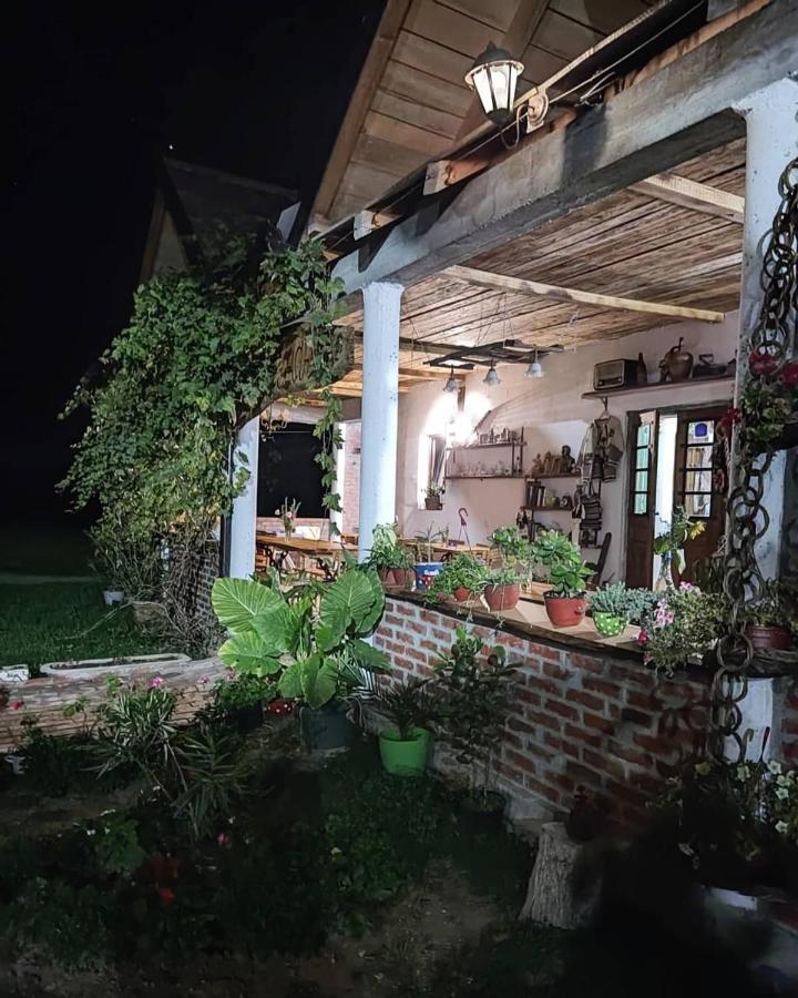 Amanet House Zasavica Exterior foto
