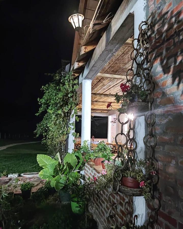 Amanet House Zasavica Exterior foto